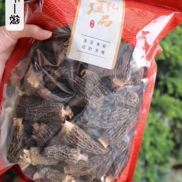 直销批发头茬大号羊肚菌一斤装滋补养生足干香味浓
