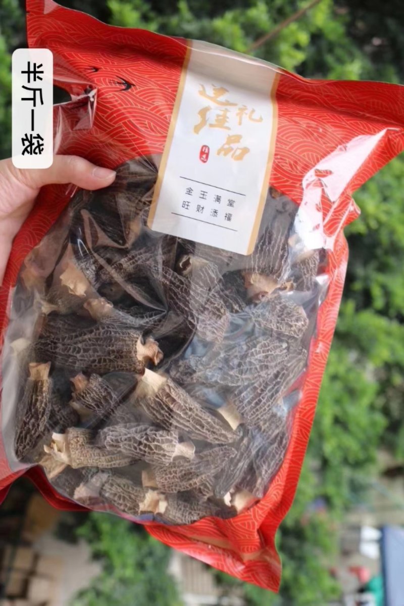 直销批发头茬大号羊肚菌一斤装滋补养生足干香味浓