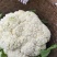 散光，松花，精品有机花菜～～～