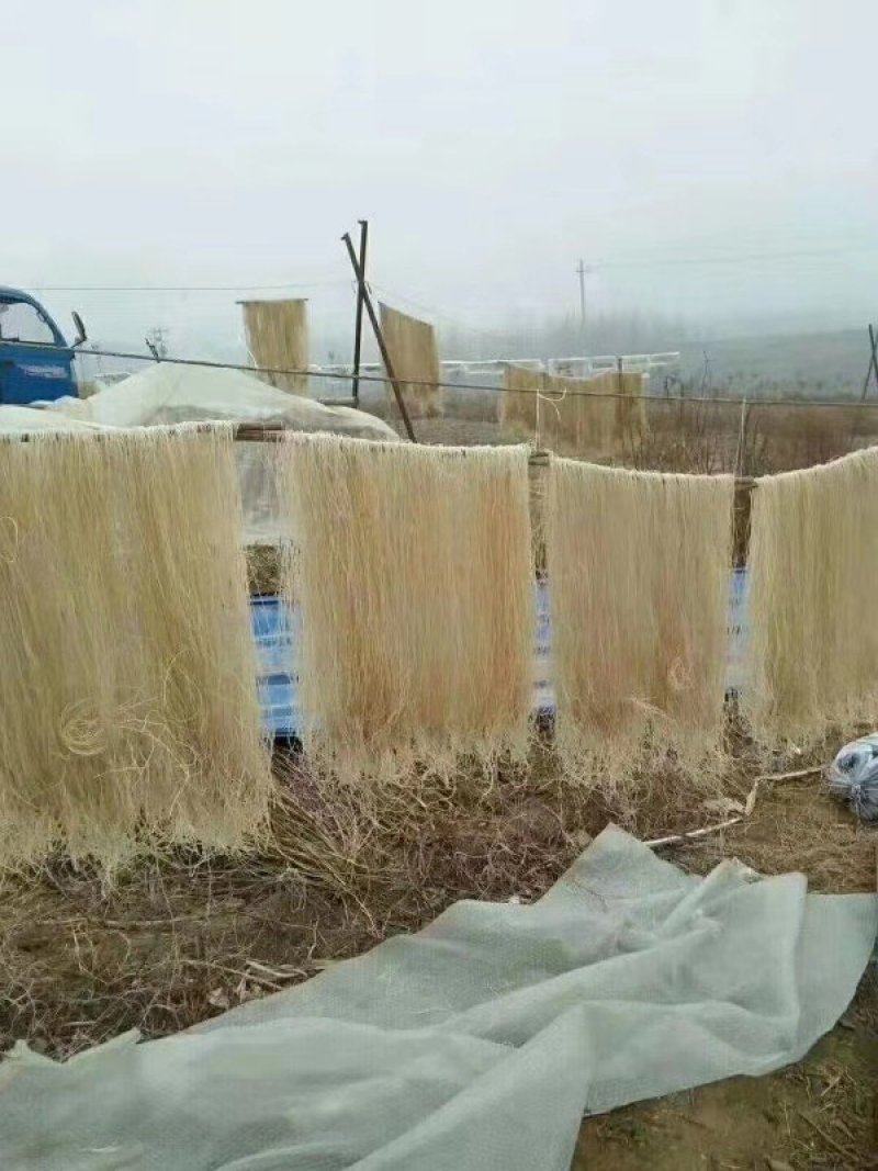 山地种植红薯红薯粉皮\粉条