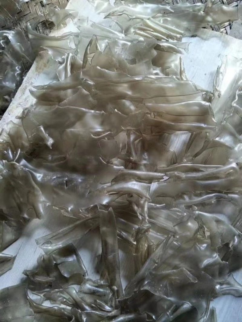 山地种植红薯红薯粉皮\粉条