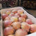 【红富士】砀山苹果产地大量有货，可对接电商品质保证。