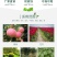 除草布防草地膜