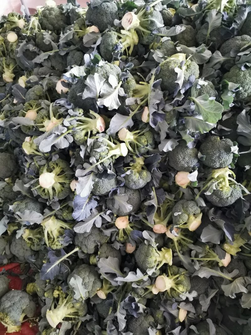 西兰花，松花