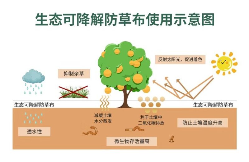 地膜