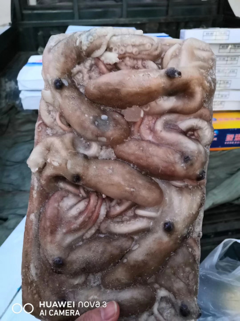大连当地海鲜