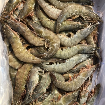 大连当地海鲜