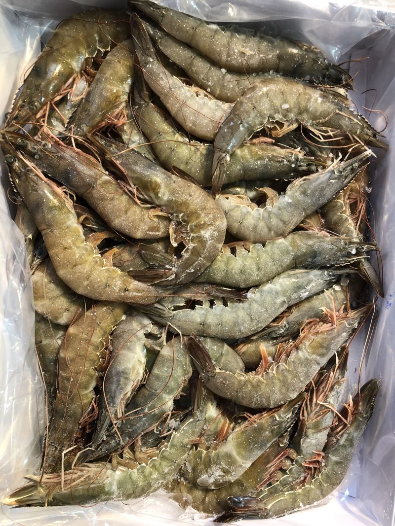 大连当地海鲜