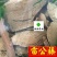 雷公藤大统货过筛新货货干供应各种中药材