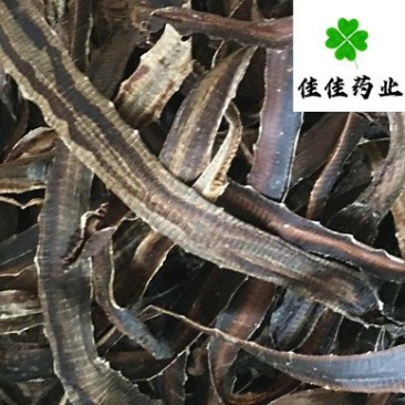 地龙干货广地龙全开大地龙干净看规格下单