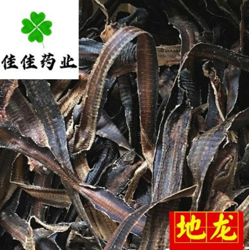 地龙干货广地龙全开大地龙干净看规格下单