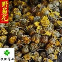 野菊花小粒干货新货颜色好供应各种中药材