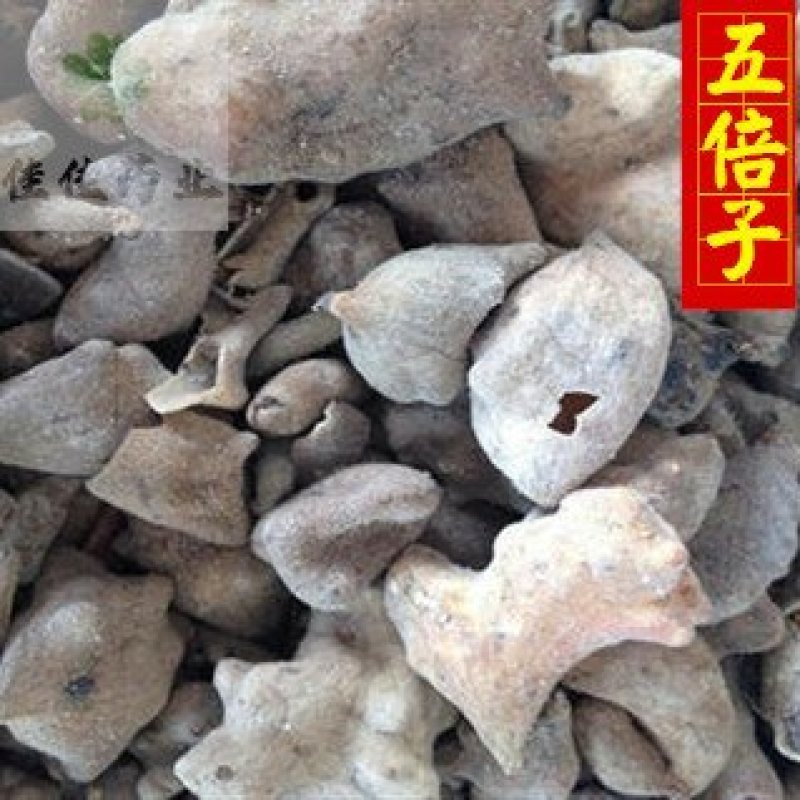 五倍子统货供应各种中药材矿石冷背货