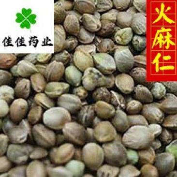 火麻仁麻子仁颜色好供应大货颗粒饱满