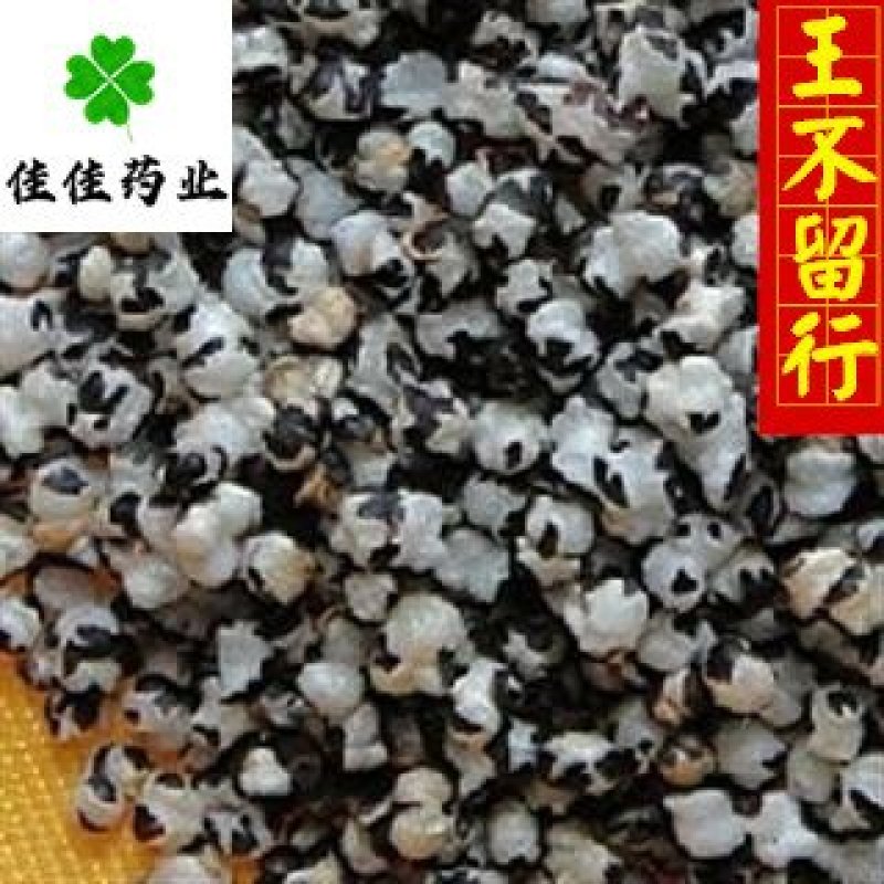 王不留行炒王不留行开花好供应大货佳佳药业
