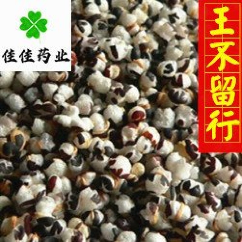 王不留行炒王不留行开花好供应大货佳佳药业