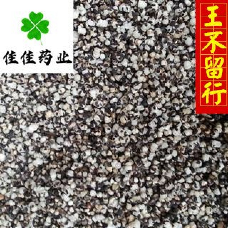 王不留行炒王不留行开花好供应大货佳佳药业
