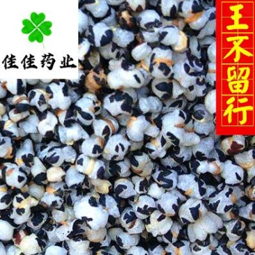 王不留行炒王不留行开花好供应大货佳佳药业