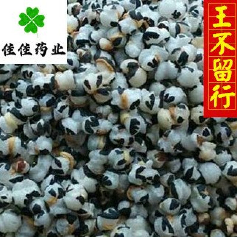 王不留行炒王不留行开花好供应大货佳佳药业