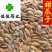甜瓜子甜瓜籽产地直销供应籽籽药各种中药材