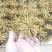 青海玉树冬虫夏草一手货源一手价格