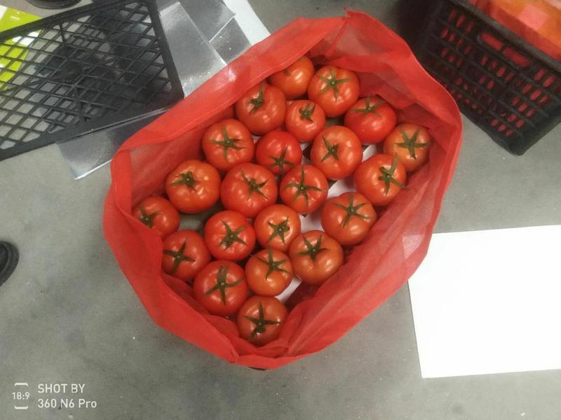 番茄西红柿精品中的精品大红通货硬粉