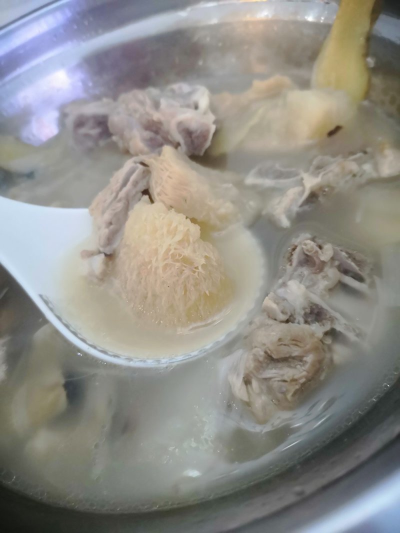西藏野生猴头菇（食用菌）