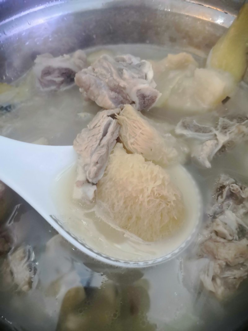 西藏野生猴头菇（食用菌）