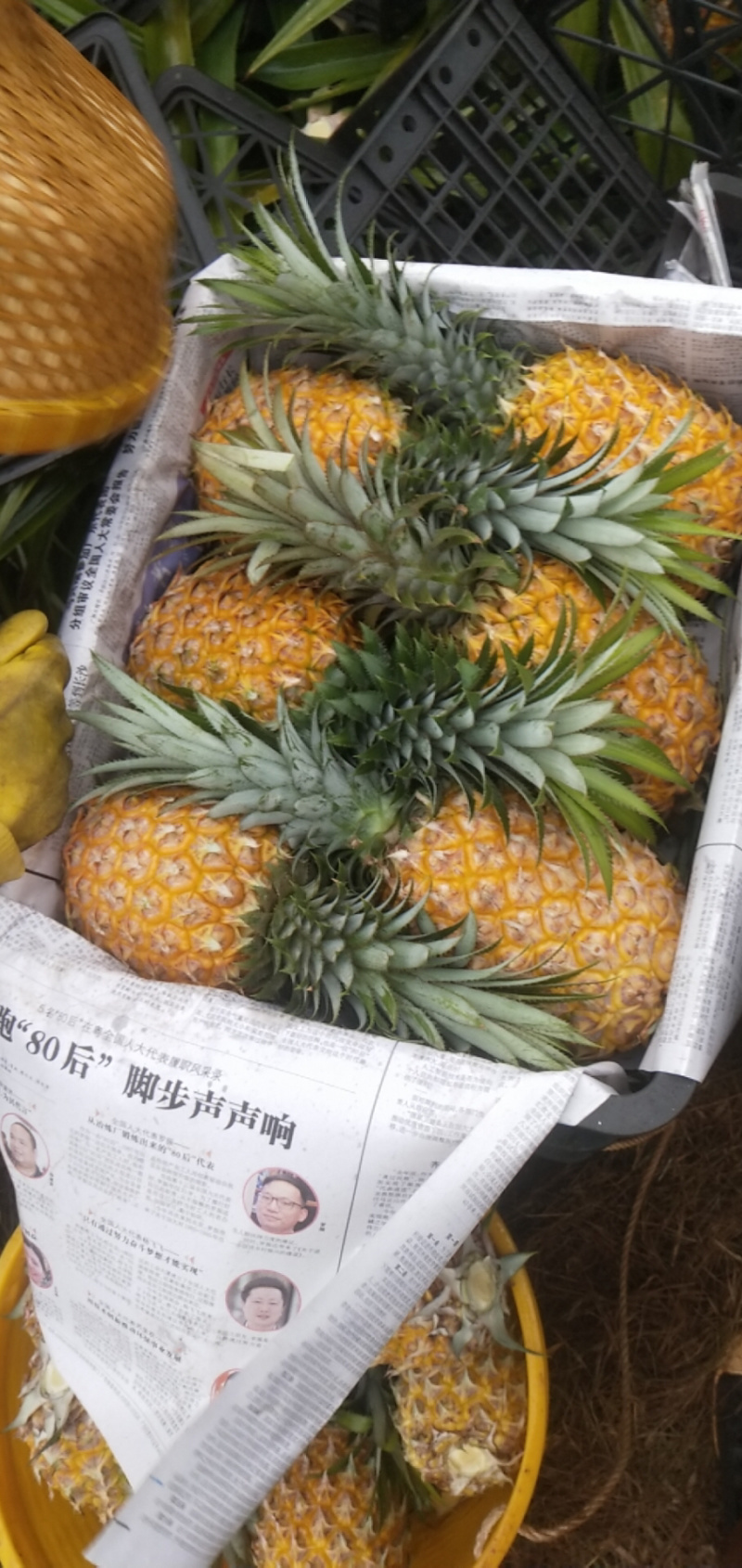 菠萝代办-徐闻县菠萝，可以出口报检通关单，代办，徐闻菠萝