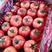 山东费县硬粉沙瓤西红柿商超专供全国发货一手货源价质量保证