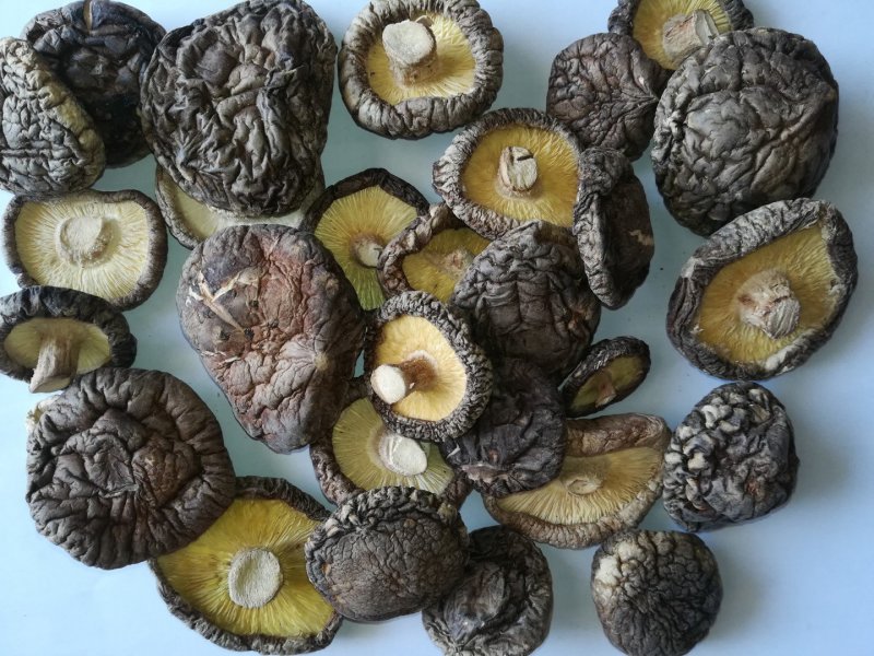 食用菌春栽干香菇，秋栽菇，春栽菇现货供应发