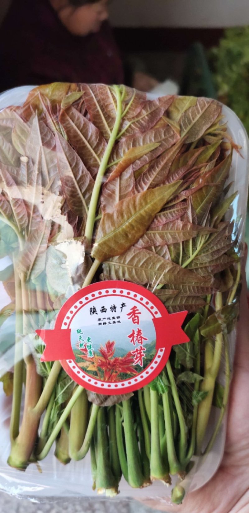 现货香椿芽云南产专业香椿陕西红香椿精品大棚芽菜山西