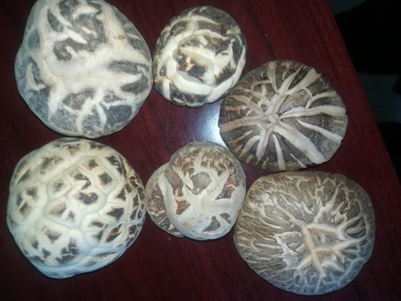 食用菌秋栽干香菇