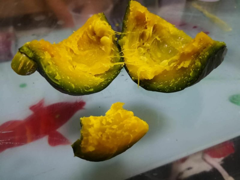 黛玉迷你贝贝南瓜种子果型正口感好长势旺