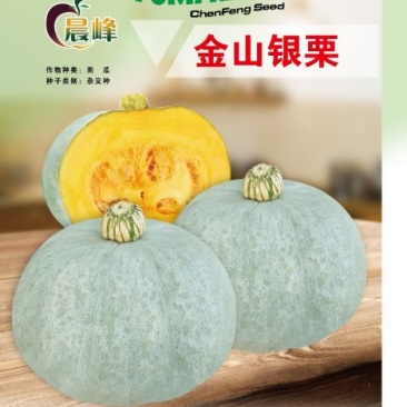 改良板栗南瓜种子，口感香甜面，板栗南瓜种子厂家发货招代理