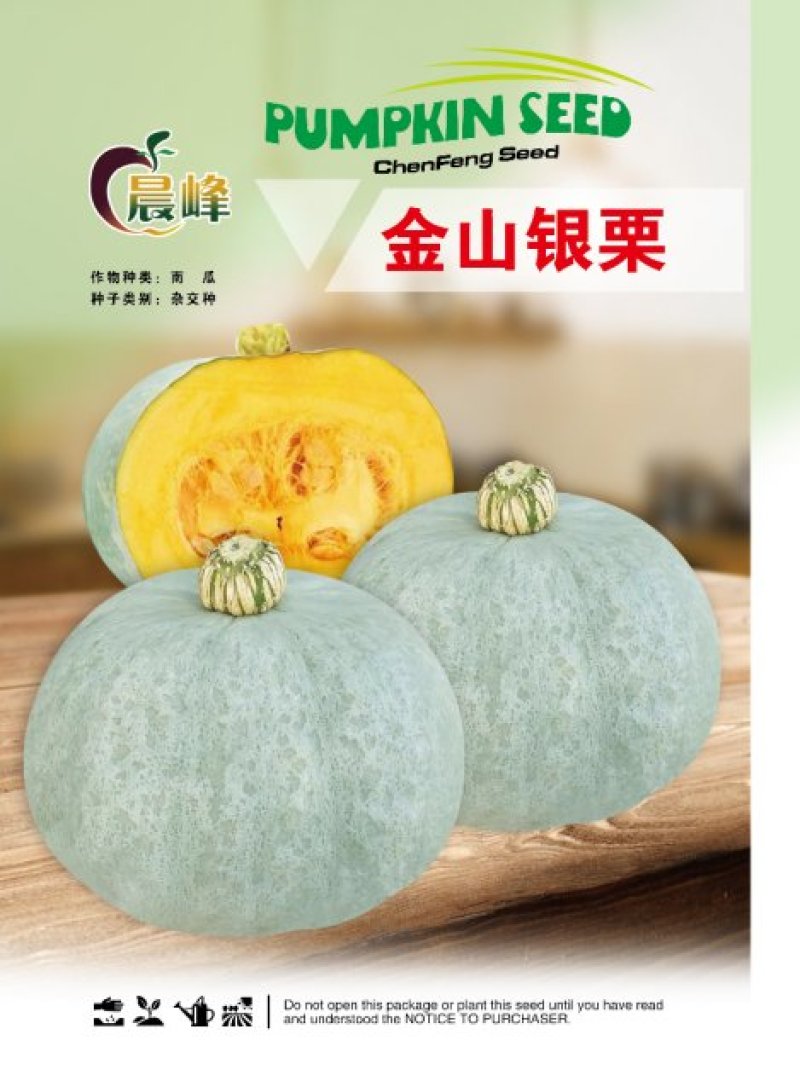 改良板栗南瓜种子，口感香甜面，板栗南瓜种子厂家发货招代理