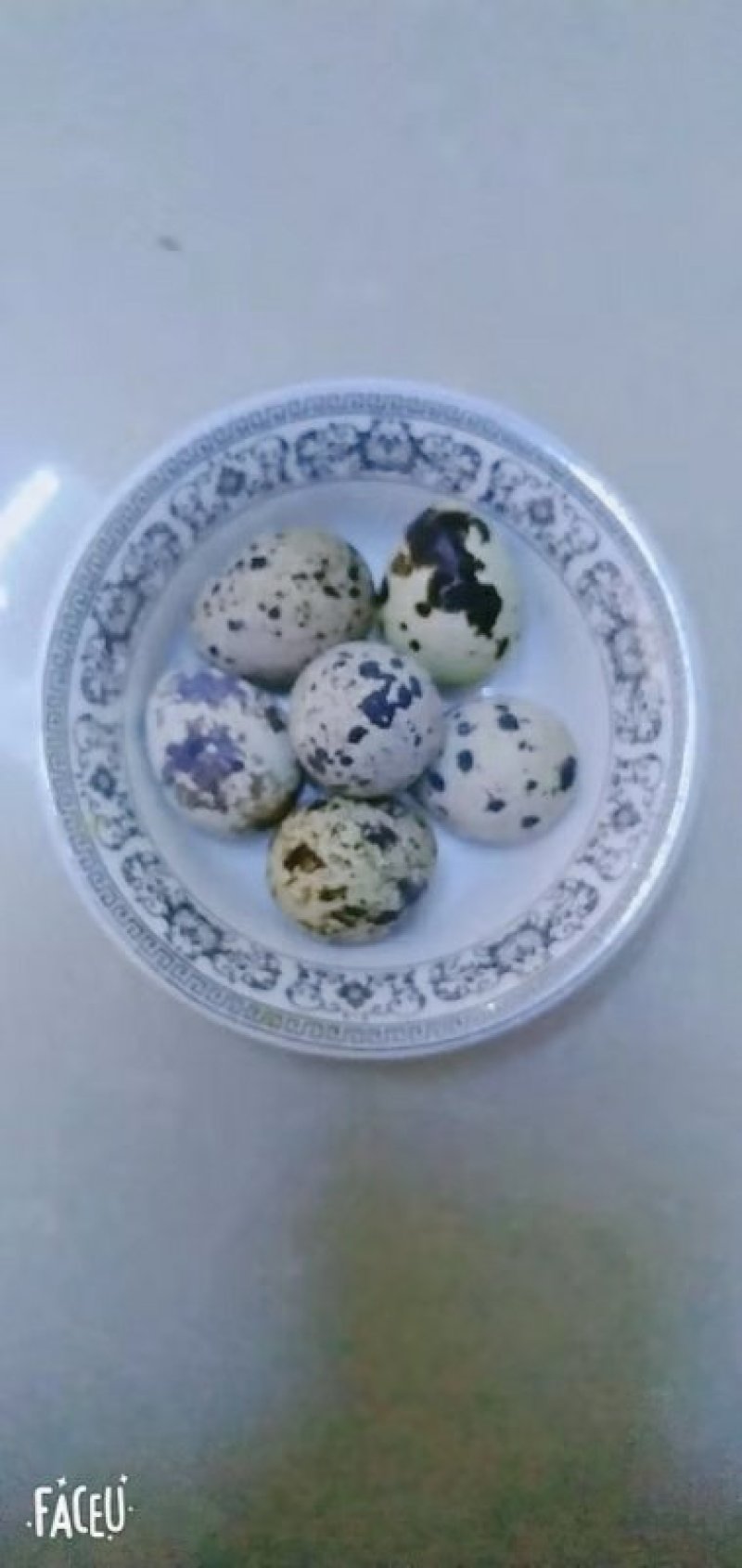 精品鹌鹑蛋