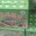 精品鹌鹑蛋