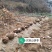 (包邮)大别山岳西茯苓丁，无硫茯苓方白块，茯苓神方
