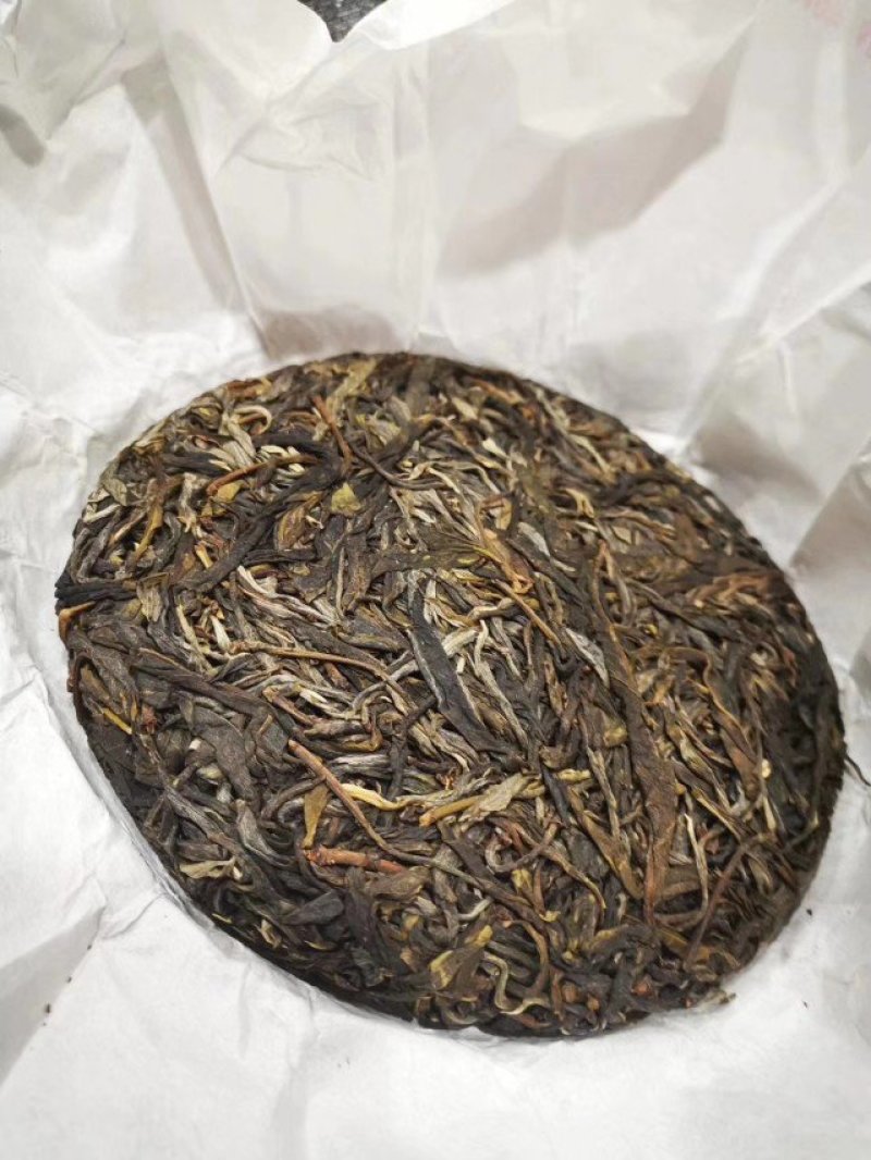 普洱