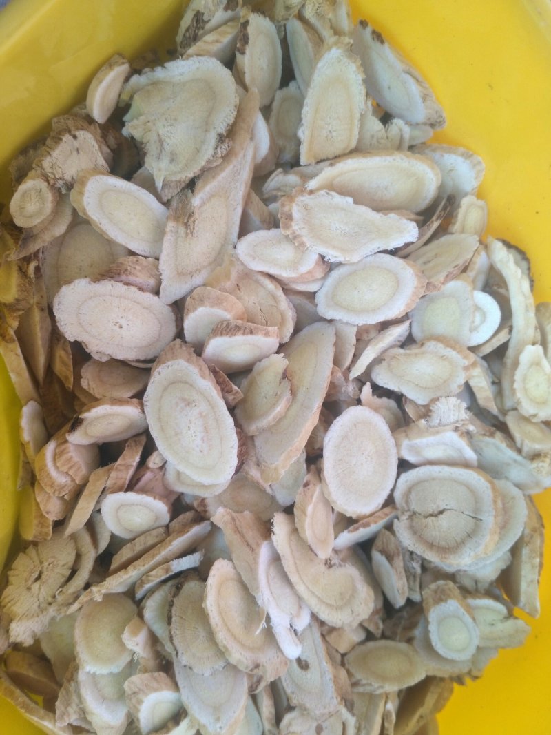 黄芪加工甘肃定西种槙户