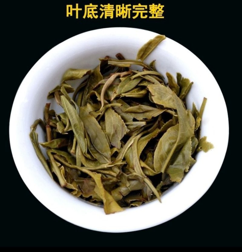 普洱