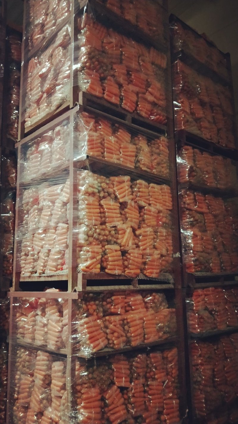 河南通许优质精品三红胡萝卜规格齐全货源充足大量批发