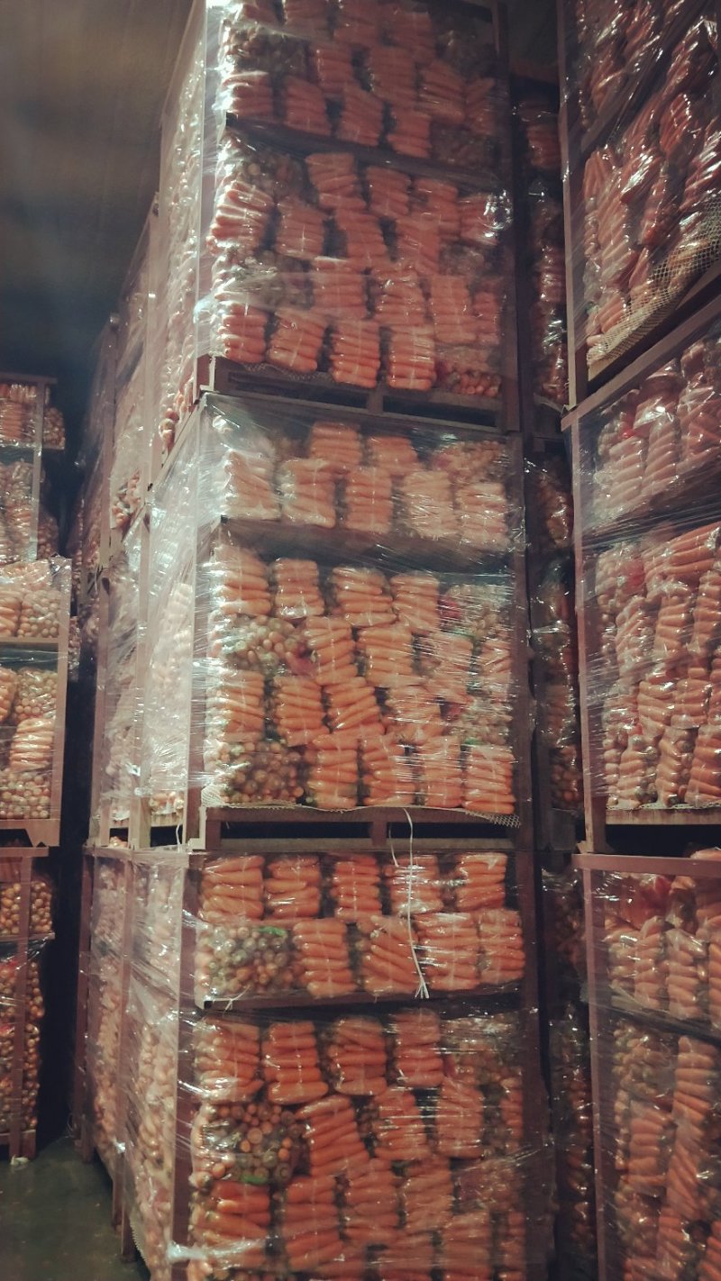河南通许优质精品三红胡萝卜规格齐全货源充足大量批发
