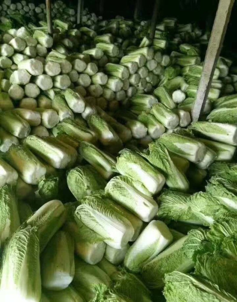 【有好货】冬储大北京三号大量上市，质量好，供应期长
