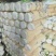 【有好货】冬储大北京三号大量上市，质量好，供应期长