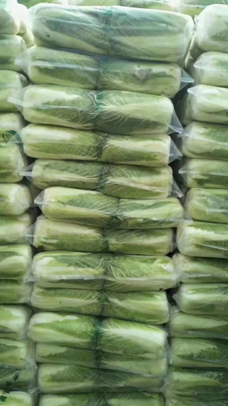 【有好货】冬储大北京三号大量上市，质量好，供应期长