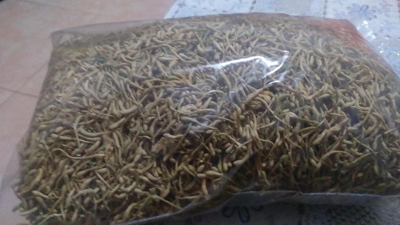 金银花，山东产地，一级好统货，无杂，无叶