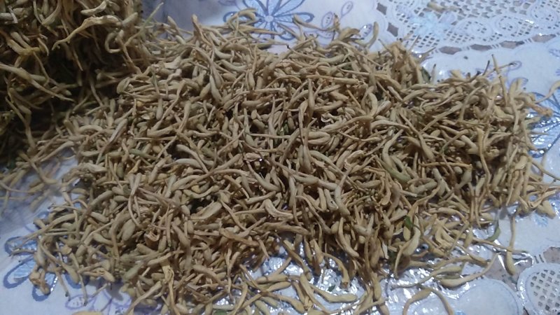 金银花，山东产地，一级好统货，无杂，无叶