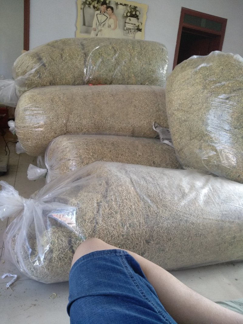 金银花，山东产地，一级好统货，无杂，无叶